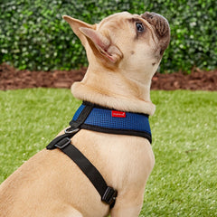 Puppia Soft Dog Harness