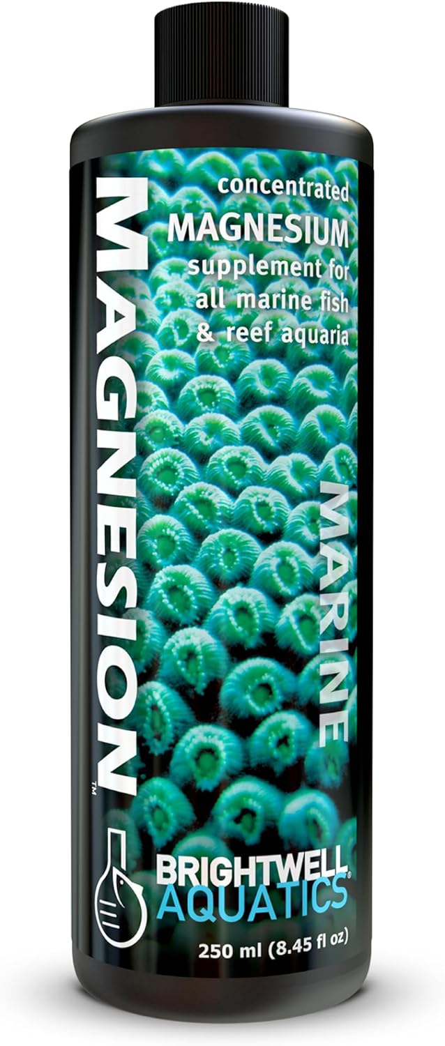 Brightwell Aquatics Magnesion Liquid Salt Water Conditioner - Concentrated Magnesium Supplement For Reef and Marine Aquariums, 8.45 fl oz