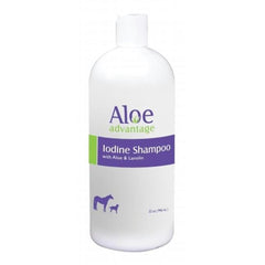 Aloe Advantage Concentrated Shampoo 10X Qt