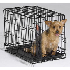 I-Crate for dogs