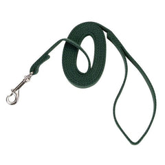 Train Right Cotton Web Training Leash