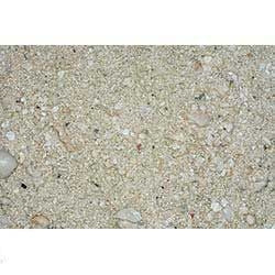 CaribSea Ocean Direct Natural Live Sand