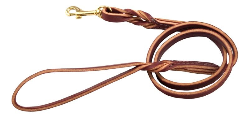 Twisted Latigo Dog Lead