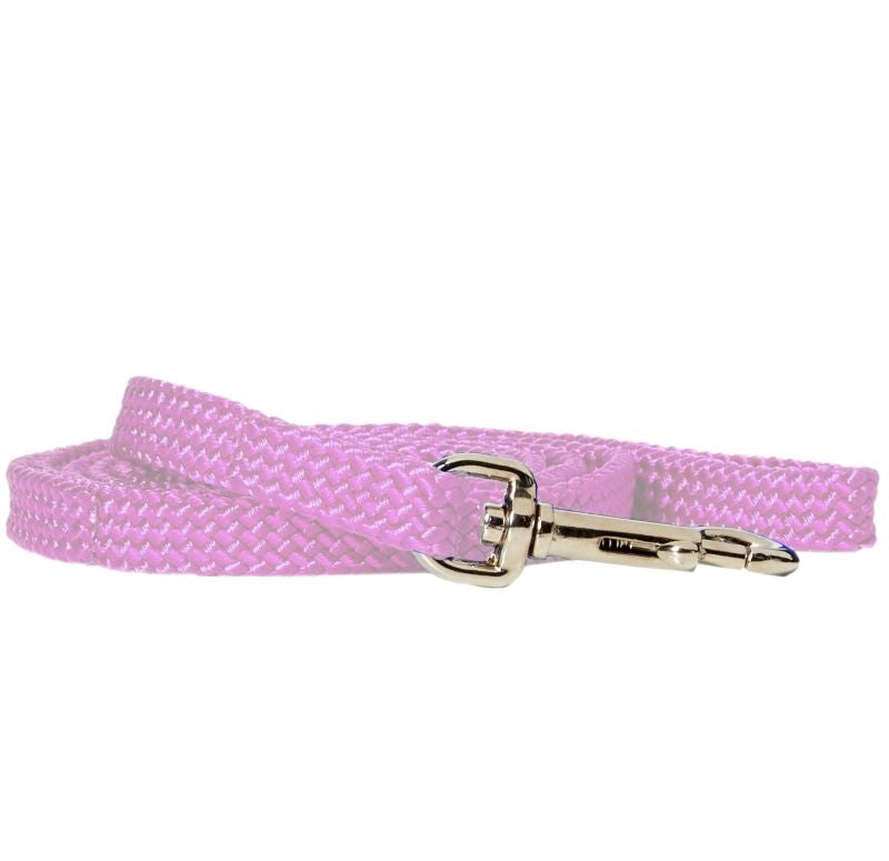 Rainbow Nylon Puppy Lead