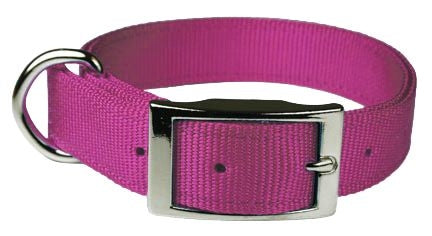 Double Layer Dog Collar