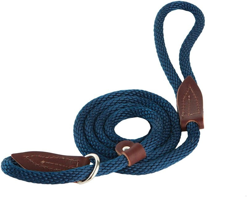 Slip Lead for Dogs