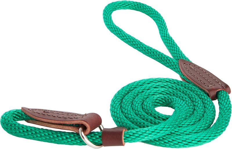 Slip Lead for Dogs