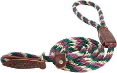 Slip Lead for Dogs