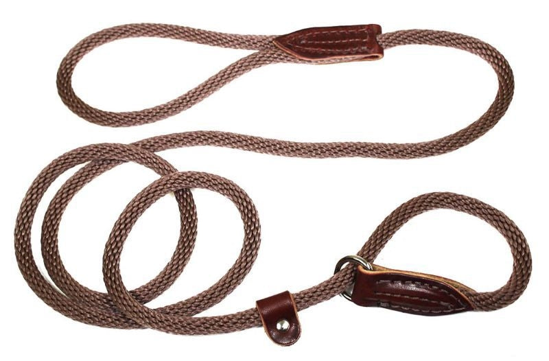 Slip Lead for Dogs