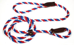 Slip Lead for Dogs
