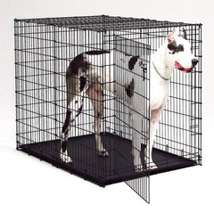 MidWest XXLarge Dog Crate