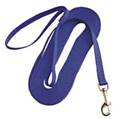 Nylon Training Lead