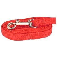 Web Training Dog Lead