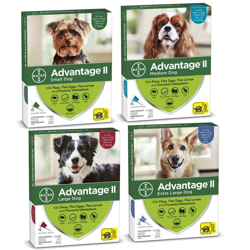 Advantage 2 Dog