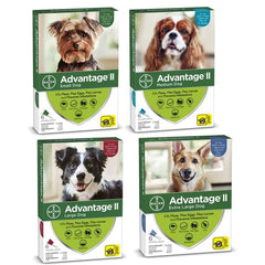 Merial Advantage Ii Dog