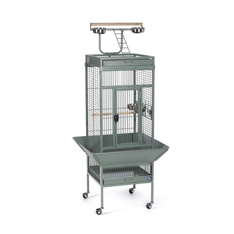 Prevue 3151 Select Signature Parrot Cage