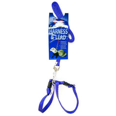 Marshall Ferret Harness And Lead Combo