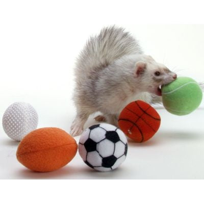 Marshall Ferret Sport Balls