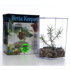 Lee's Aquarium Betta Hex Tank with Plant & Gravel