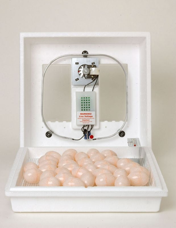 Little Giant Circulated Air Incubator
