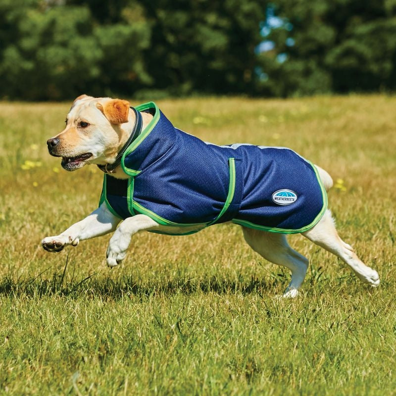 Weatherbeeta Parka 1200D Deluxe Dog Coat - Navy/Lime