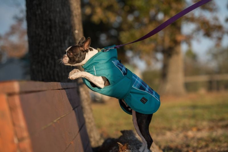 FITS Dog Coat - Blue Plaid/Turquoise