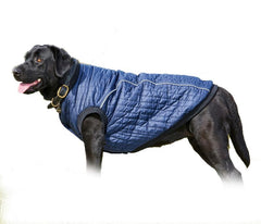 Weatherbeeta ComFiTec Puffer Dog Coat