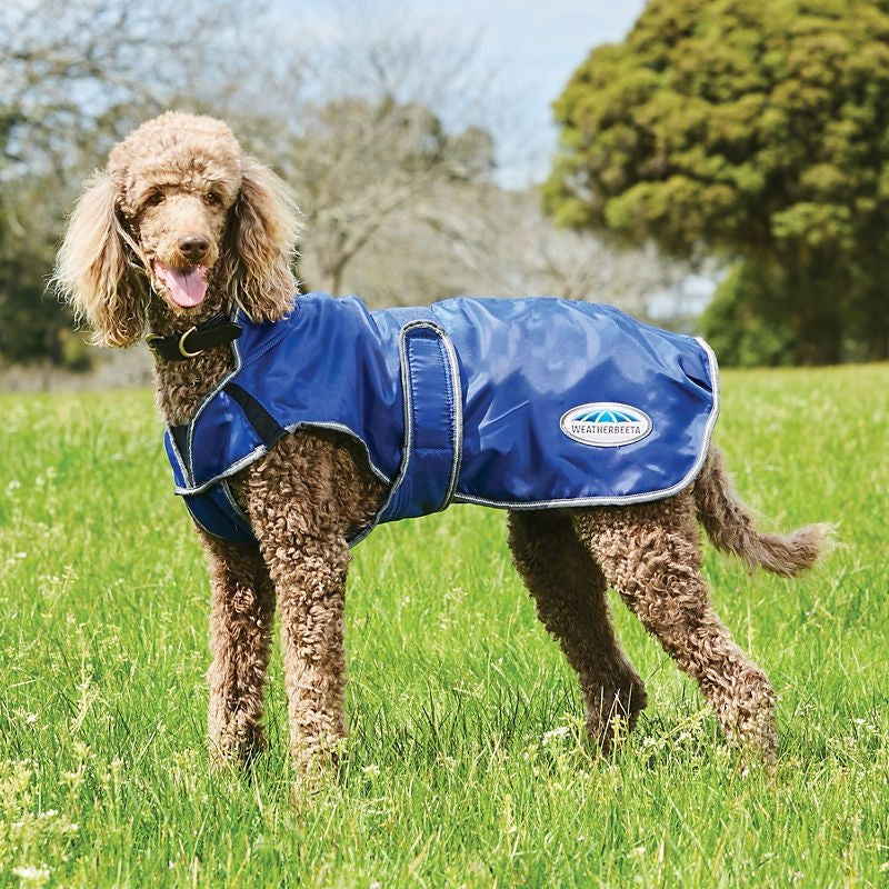 Weatherbeeta ComFiTec Windbreaker Free Deluxe Dog Coat