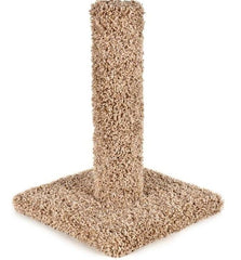 Kitty Cactus Scratch Post 18in