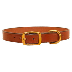 Tory Leather Wide Leather Dog Collar