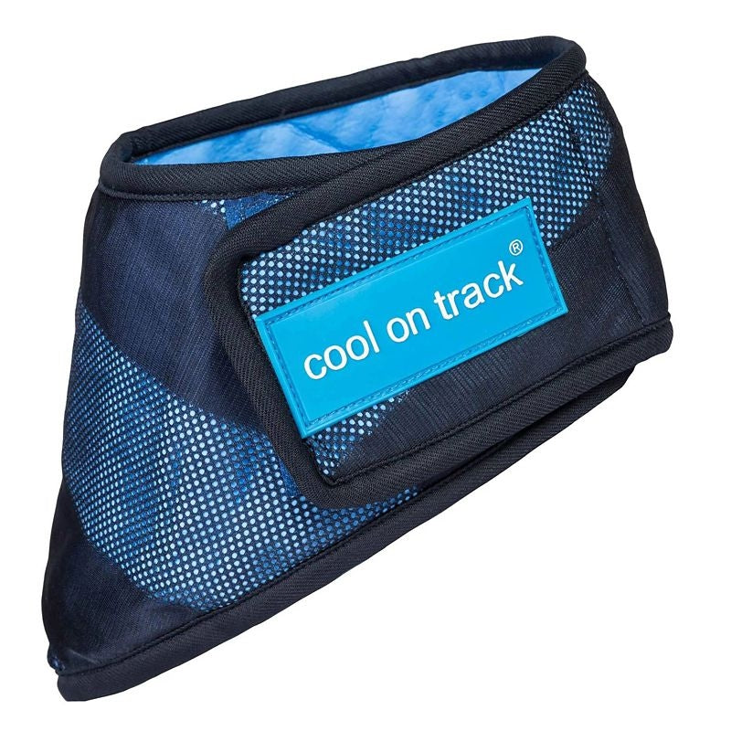 Back On Track Cool on Track Bandana