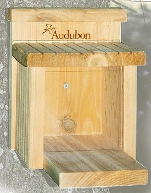 Squirrel Munch Box