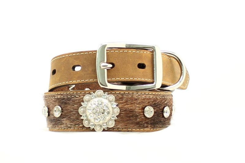 Blazin Roxx Hair on Concho Dog Collar