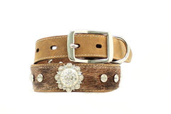 Blazin Roxx Hair on Concho Dog Collar