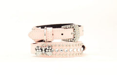 Blazin Roxx Bling Tapered Dog Collar