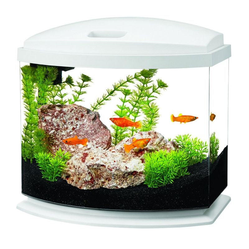 Aqueon LED Mini Bow Aquarium Kit 5Gallon White