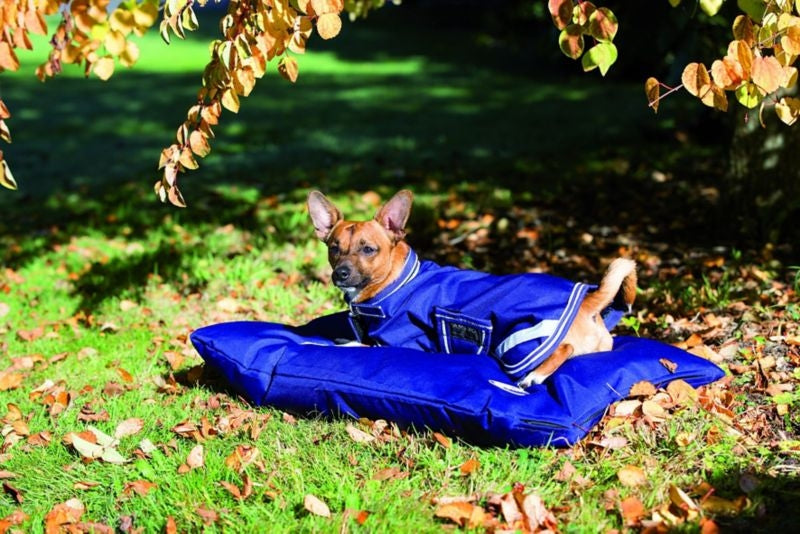 Amigo Dog Bed