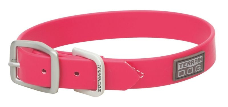 Weaver Terrain Dog Brahma Webb Collar