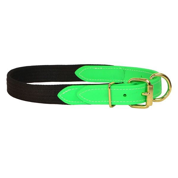 Perri's Beta/Cotton Dog Collar