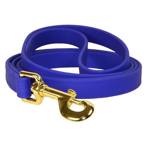 Perris' Beta Dog Leash