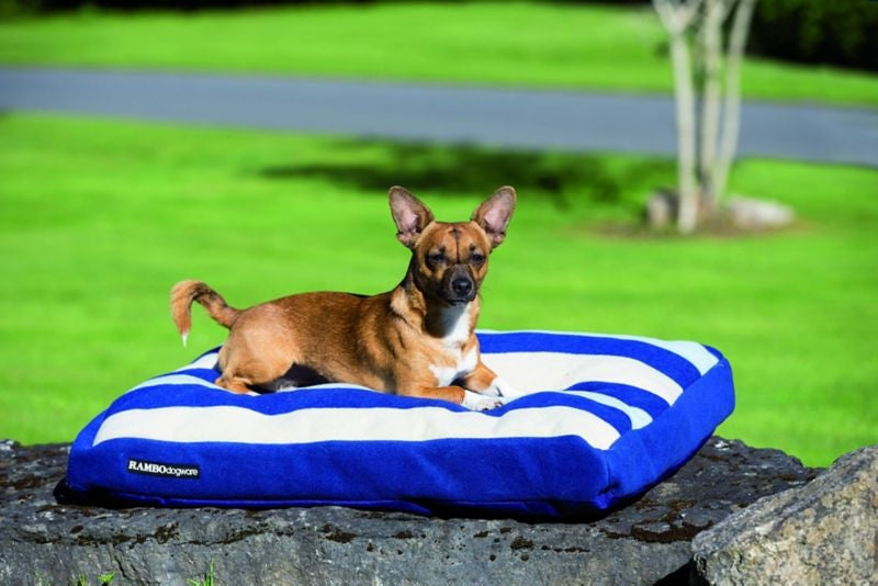 Rambo Deluxe Dog Bed