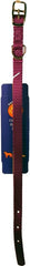 Nylon Dog Collar 3/8x12 Purple
