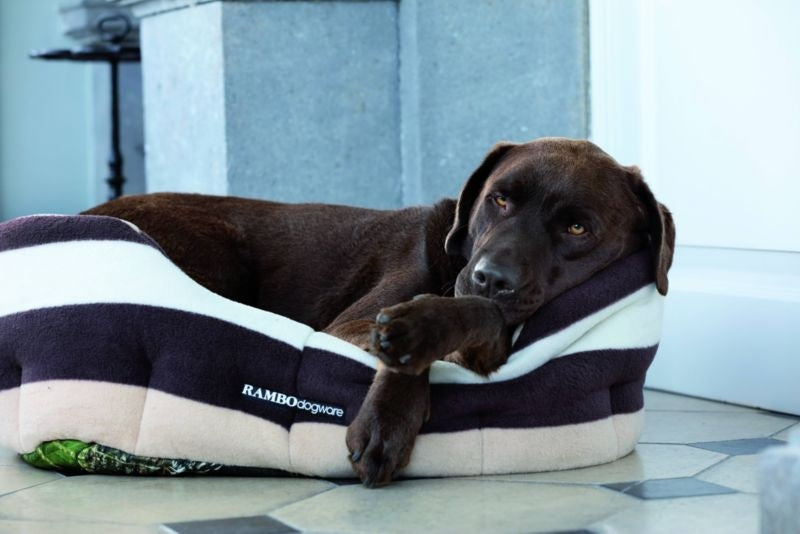 Rambo Dog Bed