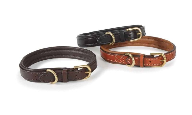 Shires Padded Leather Dog Collar