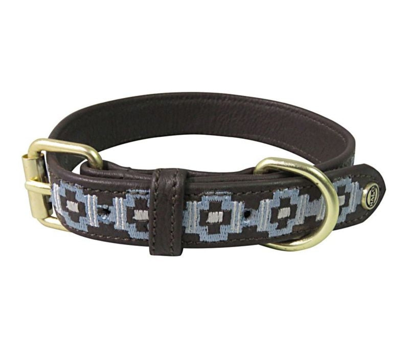 Halo Cam Leather Dog Collar