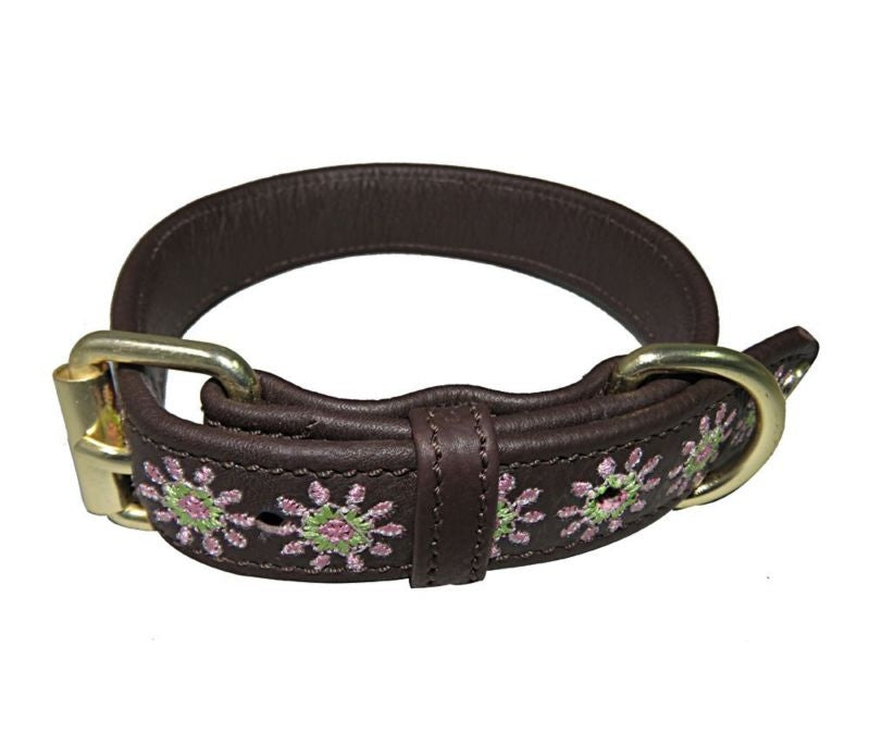 Halo Ava Leather Dog Collar