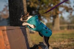 FITS Dog Coat - Blue Plaid/Turquoise