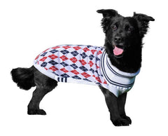 Halo Buffy Knitted Dog Sweater