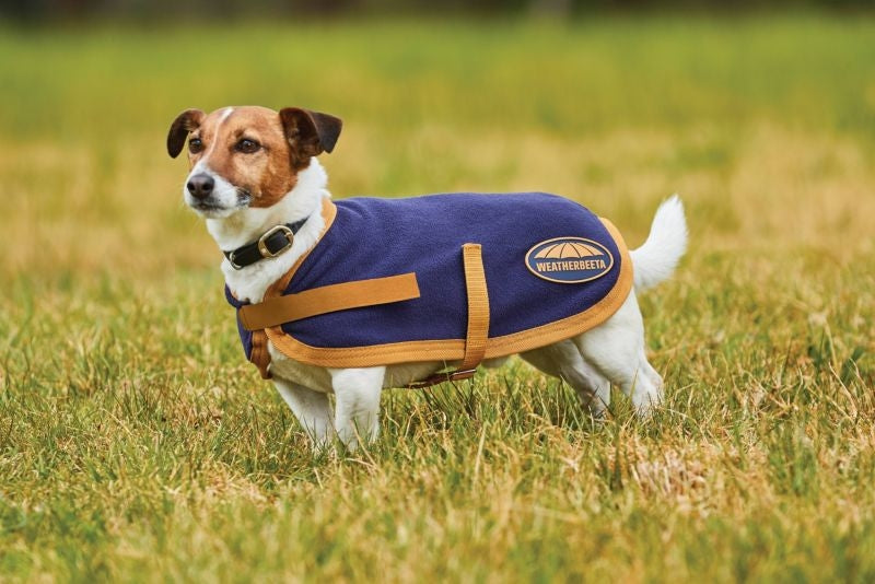 Weatherbeeta Fleece Dog Coat - Navy/Gold