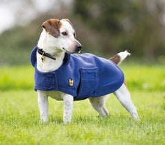 Shires Digby and Fox Dog Towel Coat